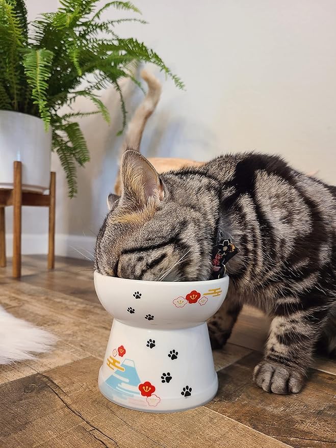 Necoichi Raised Cat Food Bowl – Ceramic Elevated Cat Bowl for Whisker & Neck Fatigue, Dishwasher Microwave Safe – Non-Slip & Anti Vomiting Ergonomic Design (Fuji, Large, 2-Cup Capacity)