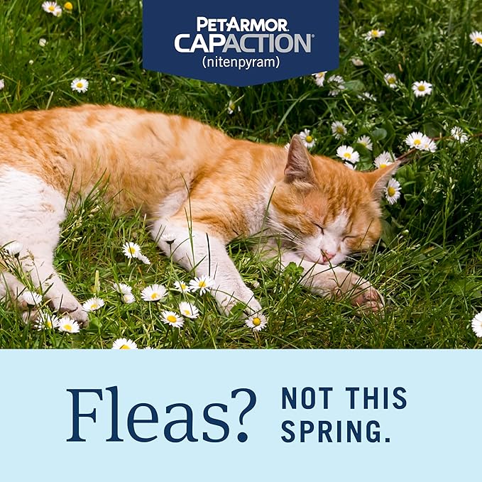 PetArmor CAPACTION (nitenpyram) Oral Flea Treatment for Cats, Cat Flea Treatment Pill, Fast Acting Tablets Start Killing in 30 Minutes, 2-25 lbs, 6 Doses
