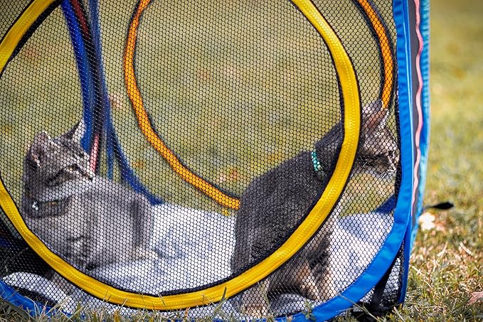 Pet Fit For Life Build-Your-Own Cat Enclosure - Collapsible Mesh Indoor & Outdoor Cat Cube - Perfect for Indoor Cats, Kittens on Patios, Yard & Camping