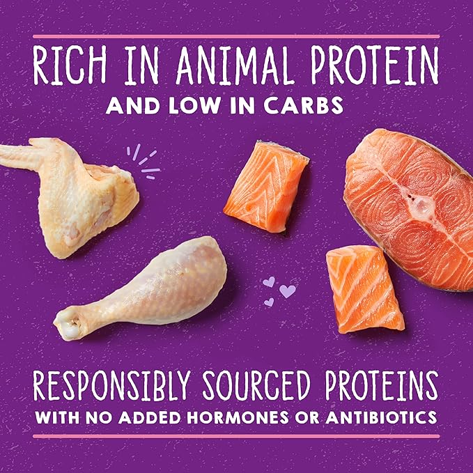 Stella & Chewy's Carnivore Cravings Savory Shreds Cans – Grain Free, Protein Rich Wet Cat Food – Cage-Free Chicken & Wild-Caught Salmon Recipe – (5.2 Ounce Cans, Case of 24)