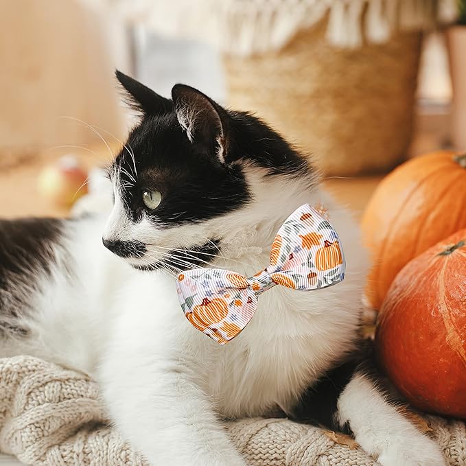 Thanksgiving Cat Collar Set with Bell, Autumn Pumpkin Thanksgiving Harvest Holiday Cat Collar for Boys and Girls Kitty Kittens