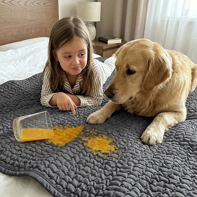 PAULATO BY GA.I.CO. Waterproof Blanket for Bed – Queen Absorbent Couch Cover – Machine Washable Stain-Proof Pad for Large Sofa – Pets Dogs & Cats Friendly Protector - Dark Grey