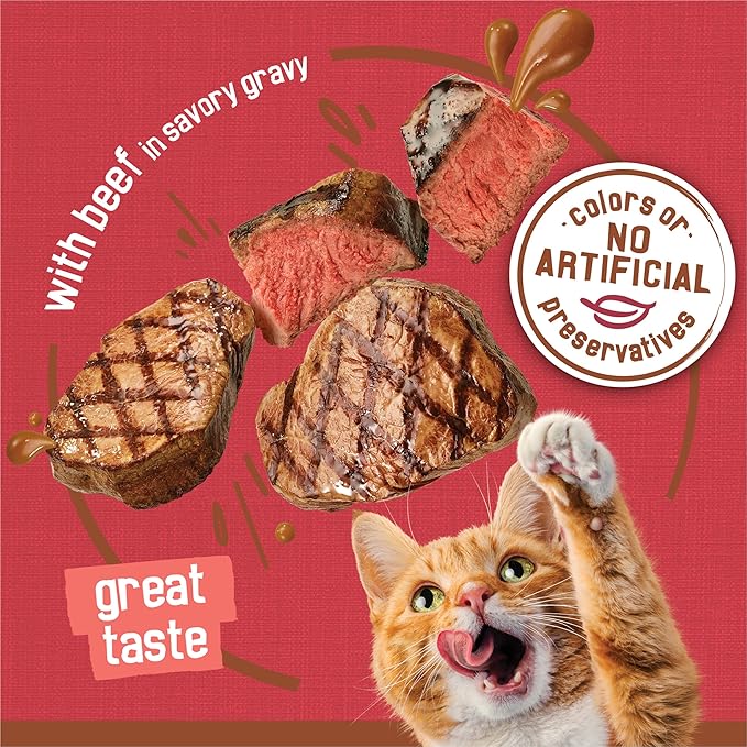 Purina Friskies Extra Gravy Wet Cat Food Chunky With Beef in Savory Gravy - (Pack of 24) 5.5 oz. Cans