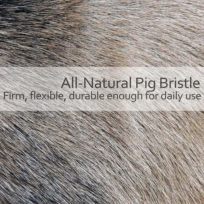 Redecker Natural Pig Bristle Cat Brush with Varnished Beechwood Handle, 7-1/4-Inches