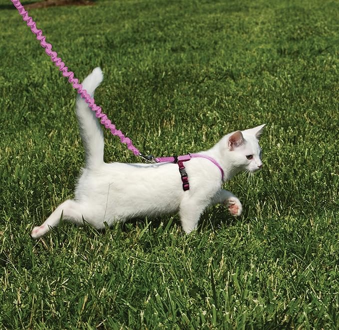 PetSafe Come with Me Kitty Harness and Bungee Leash Adjustable, Lightweight Harness for Cats Small, Dusty Rose