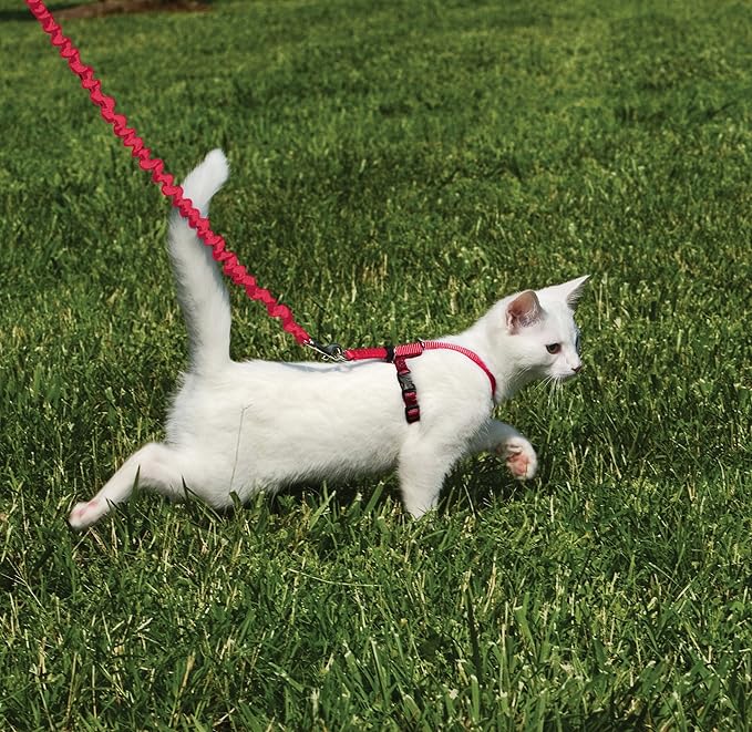PetSafe Come with Me Kitty Harness and Bungee Leash Adjustable, Lightweight Harness for Cats Small, Red