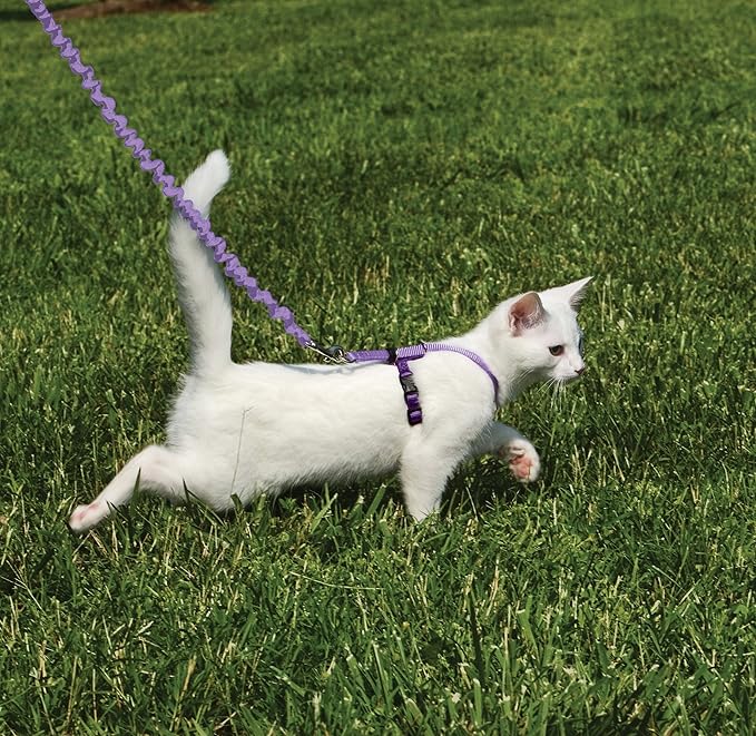 PetSafe Come with Me Kitty Harness and Bungee Leash Adjustable, Lightweight Harness for Cats Small, Lilac