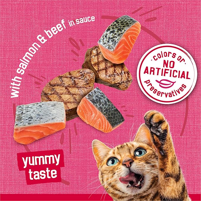 Friskies Purina Prime Filets with Salmon and Beef in Sauce High Protein Wet Cat Food - 5.5 oz. Cans (Pack of 48)